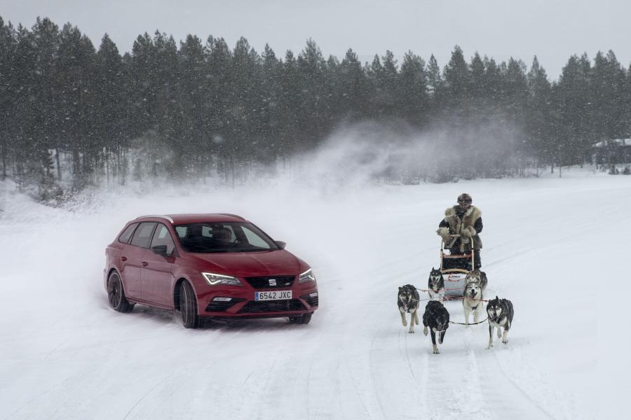  Seat Leon ST Cupra 300 2017 года  (WW) (фото 25 из 49)
